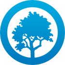 Parques Naturais Florestas Parques Praças